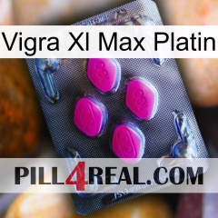 Vigra Xl Max Platinum 02